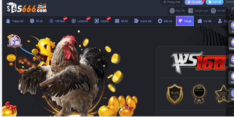 Đá gà s66 nhanh chóng trở thành điểm đến lý tưởng cho ai yêu thích sự hồi hộp
